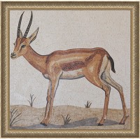 GAZELLA