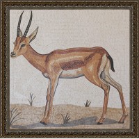 GAZELLA