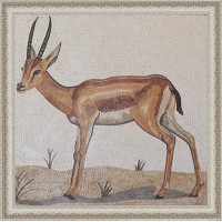 GAZELLA