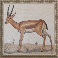 GAZELLA