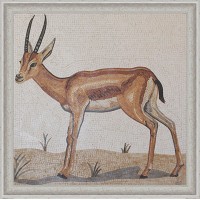 GAZELLA